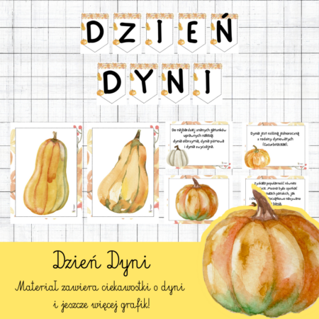 DZIEŃ DYNI